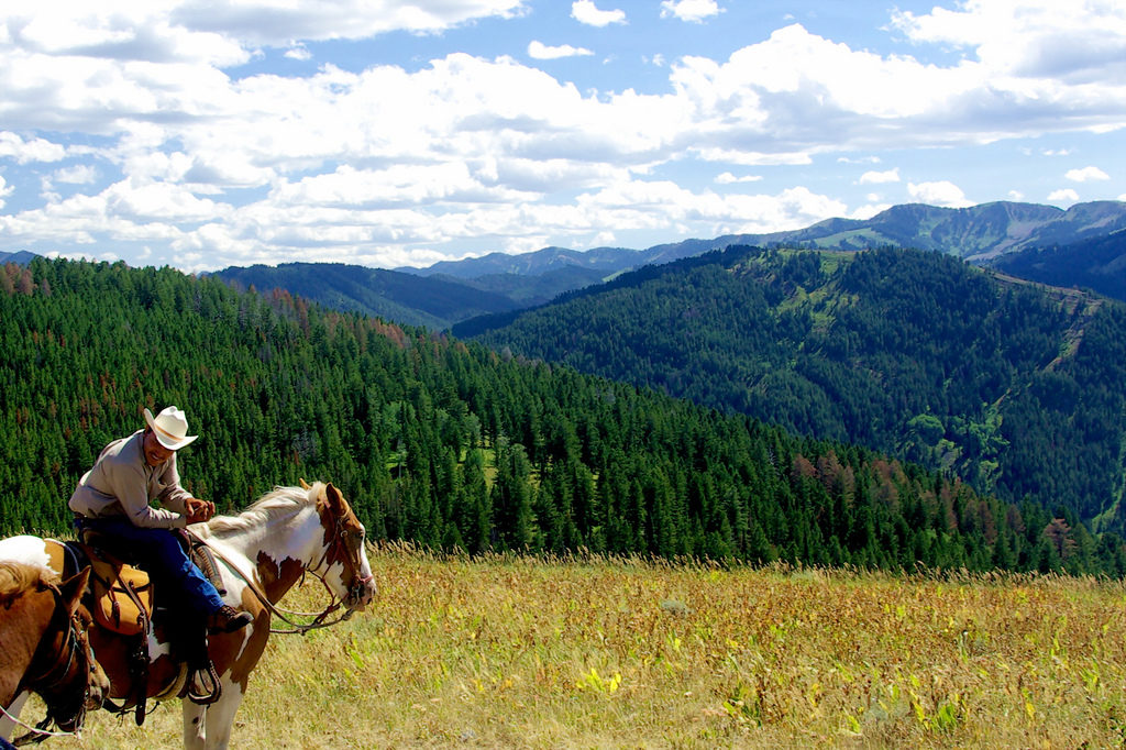 Jackson Hole Horseback Riding