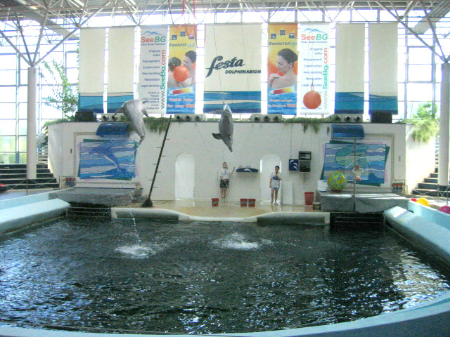 Festa Dolphinarium Varna