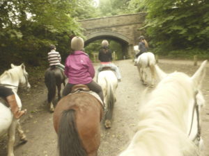 Romantic Peak District Horseback Riding Tissington Trekking Centre