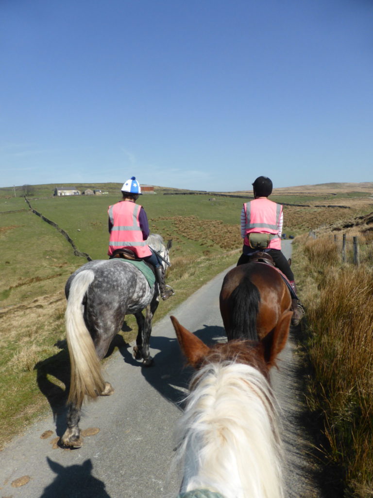 Horseback Riding Northfield Farm