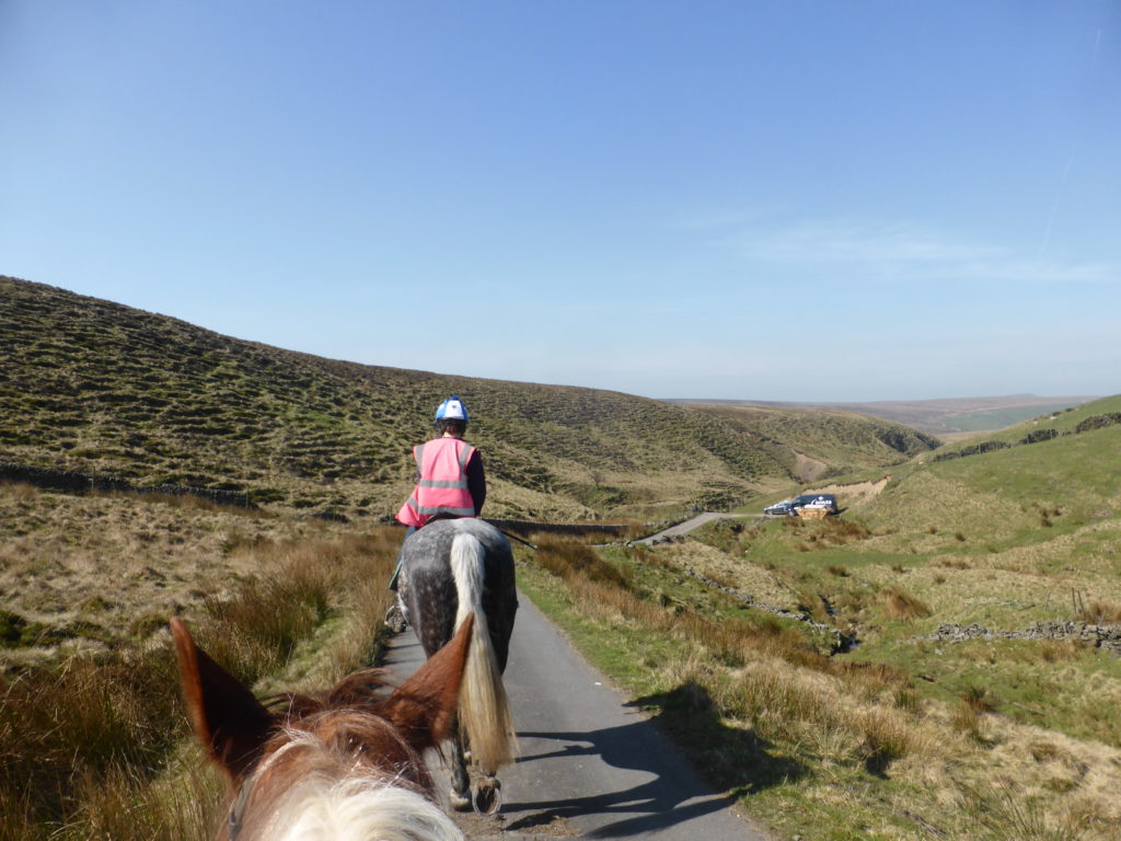 Horseback Riding Northfield Farm