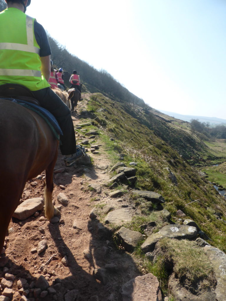 Horseback Riding Northfield Farm