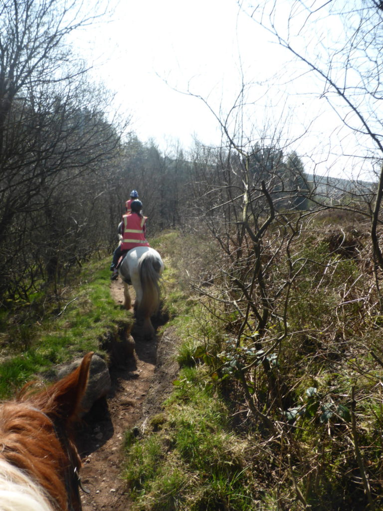 Horseback Riding Northfield Farm