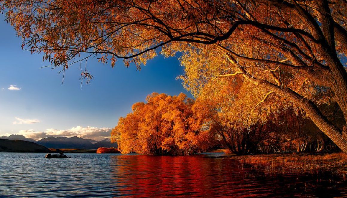 Best Lakes Dance Lake Tekapo