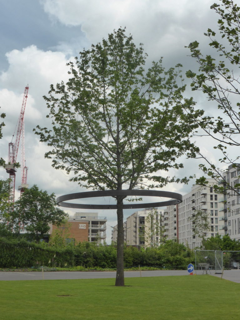 Queen Elizabeth Olympic Park History Trees