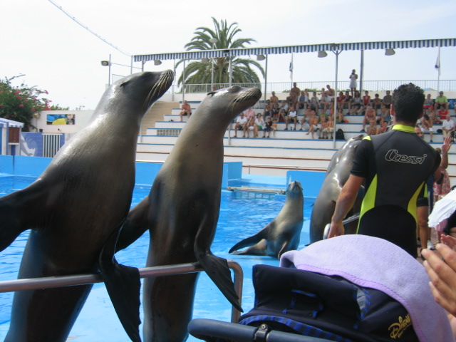 Romantic Majorca Marineland