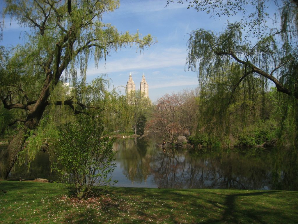 Best Picnic Spots World Central Park New York USA