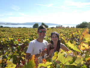 Putalj Winery Split Croatia