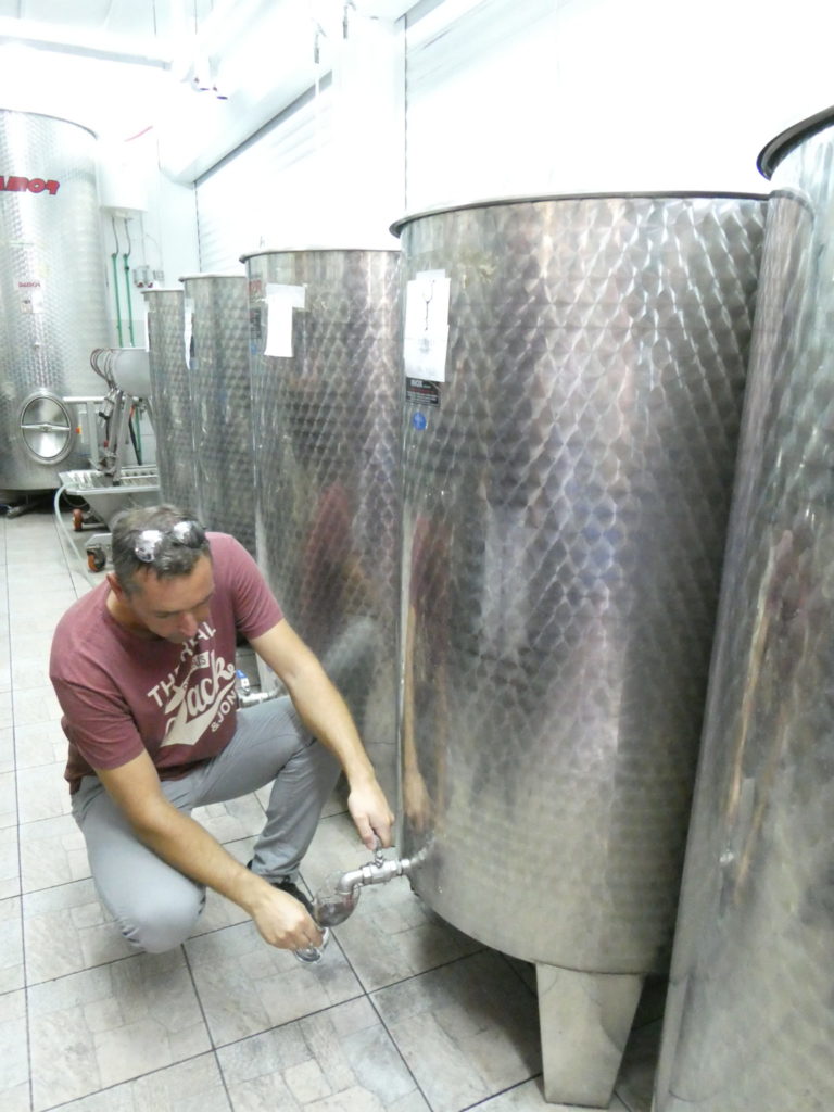 Putalj Winery Split Croatia