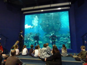 Blue Planet Aquarium - Cheshire England