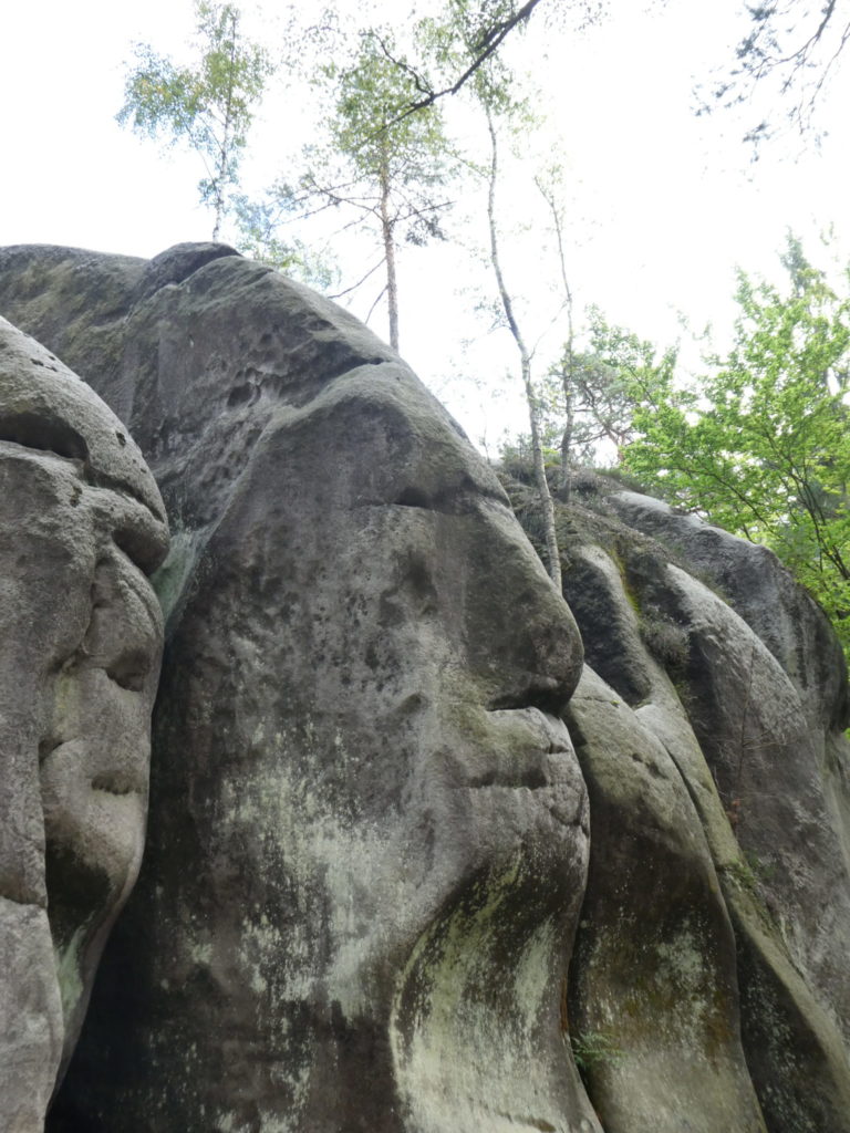 Adrspach-Teplice Rocks - The Indian