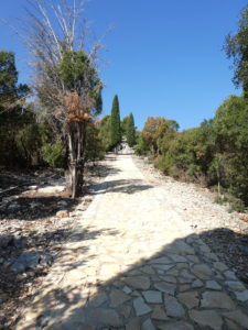 Lokrum Island Dubrovnik Croatia - Path to Fort Royal