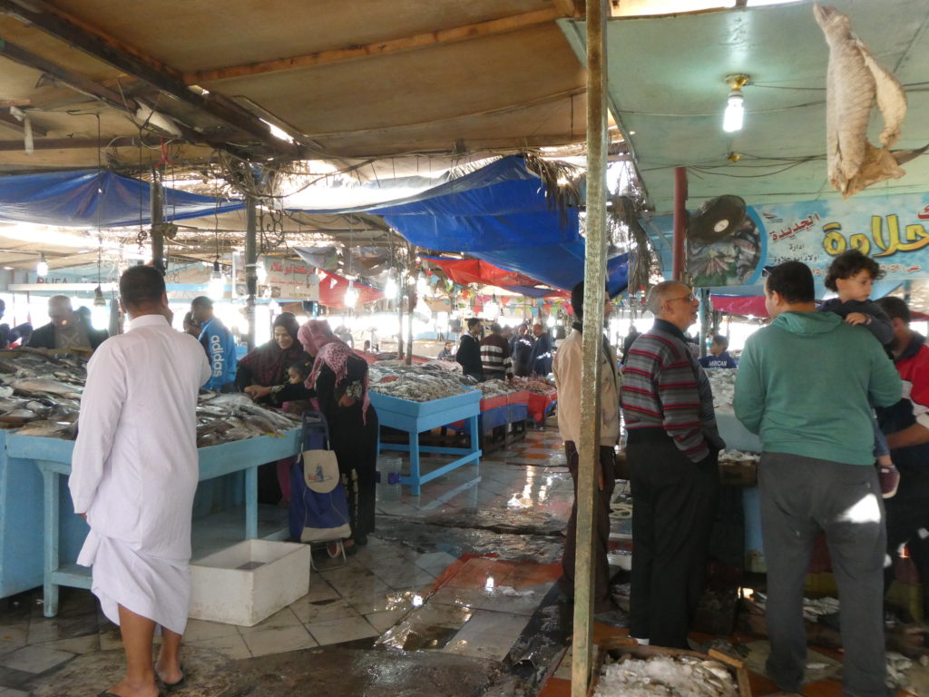 Fish Market - Hurghada, Egypt