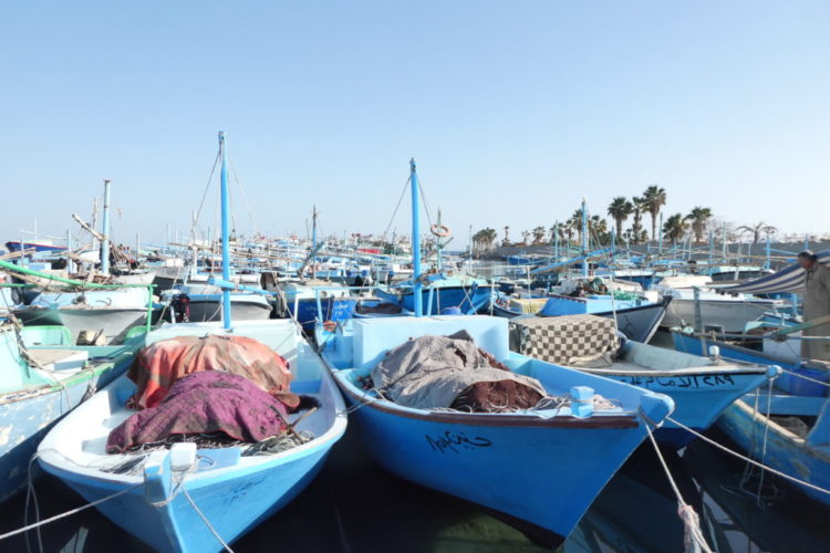 Blue Fishing Boats - Hurghada, Egypt