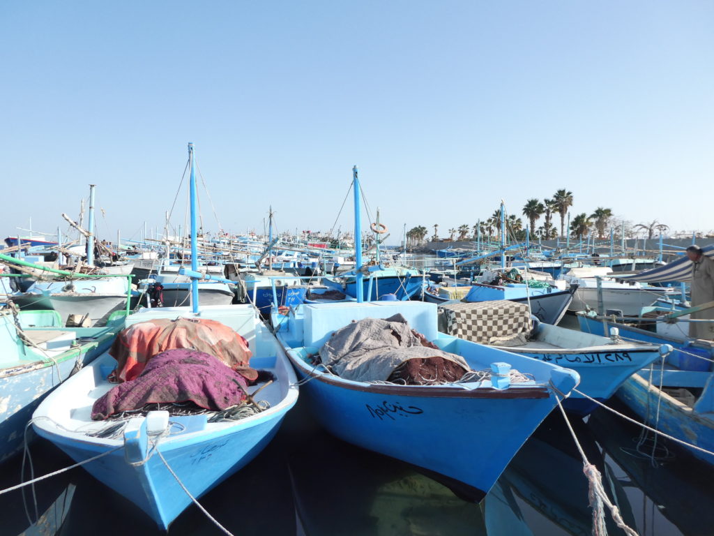 Blue Fishing Boats - Hurghada, Egypt