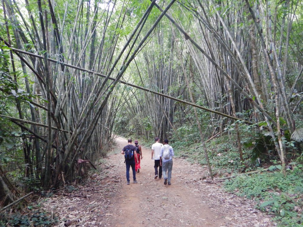 The Romantic Couples Travel Guide to Phuket, Jungle Experience, Khao Sok National Park, Thailand